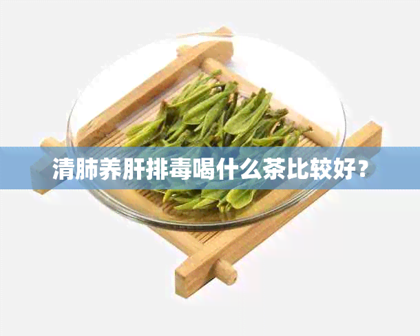 清肺养肝排喝什么茶比较好？