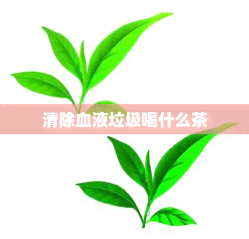 清除血液垃圾喝什么茶