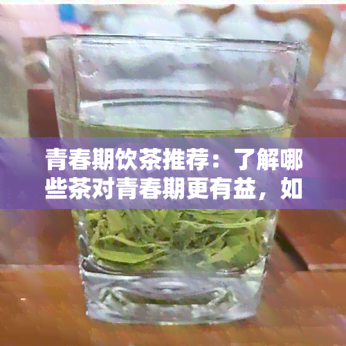 青春期饮茶推荐：了解哪些茶对青春期更有益，如何搭配饮用以促进健成长