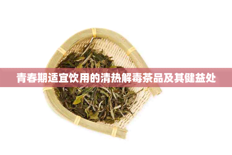 青春期适宜饮用的清热解茶品及其健益处