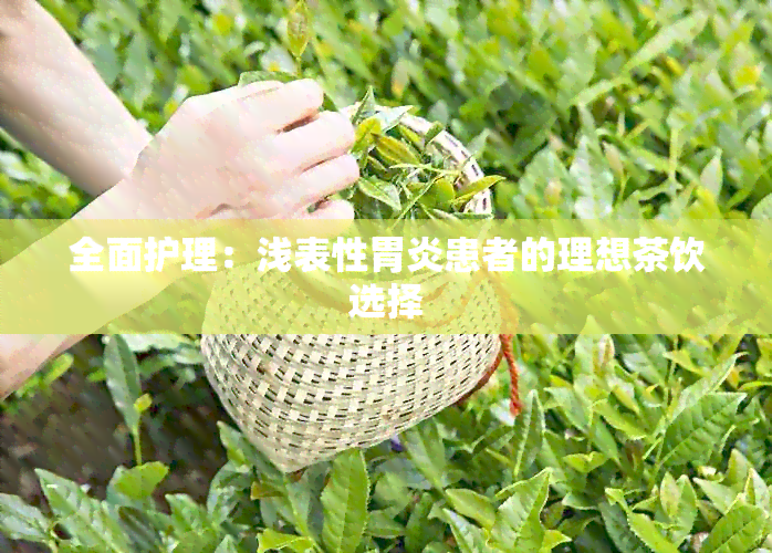 全面护理：浅表性胃炎患者的理想茶饮选择