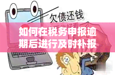 如何在税务申报逾期后进行及时补报