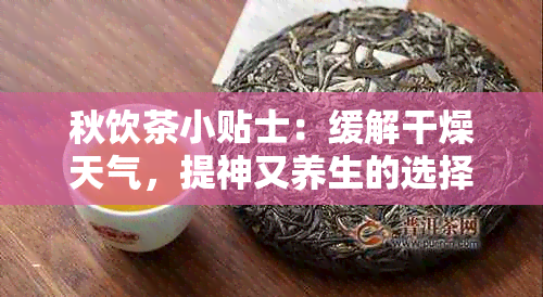 秋饮茶小贴士：缓解干燥天气，提神又养生的选择