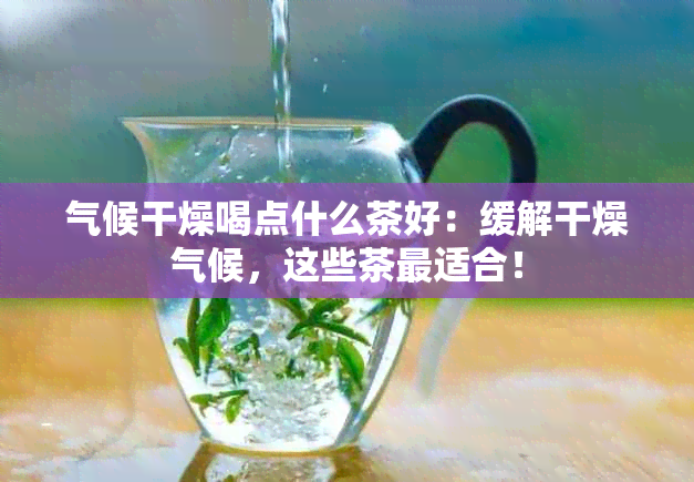 气候干燥喝点什么茶好：缓解干燥气候，这些茶最适合！