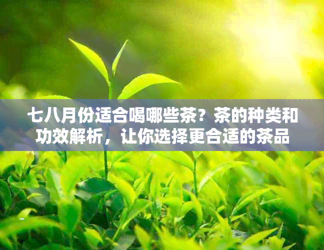 七八月份适合喝哪些茶？茶的种类和功效解析，让你选择更合适的茶品