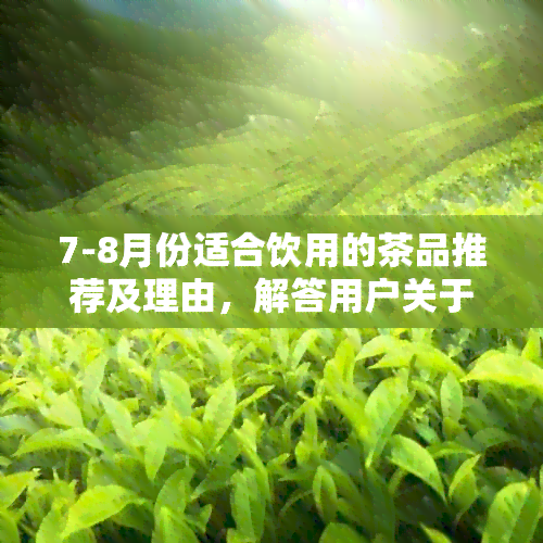 7-8月份适合饮用的茶品推荐及理由，解答用户关于饮茶的所有疑问