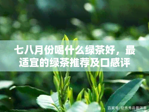 七八月份喝什么绿茶好，最适宜的绿茶推荐及口感评价