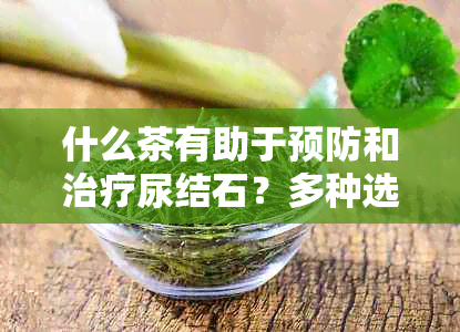 什么茶有助于预防和治疗尿结石？多种选择与效果对比分析