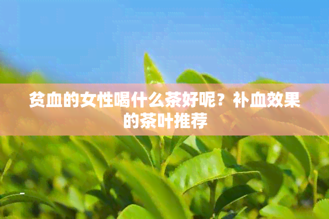 贫血的女性喝什么茶好呢？补血效果的茶叶推荐