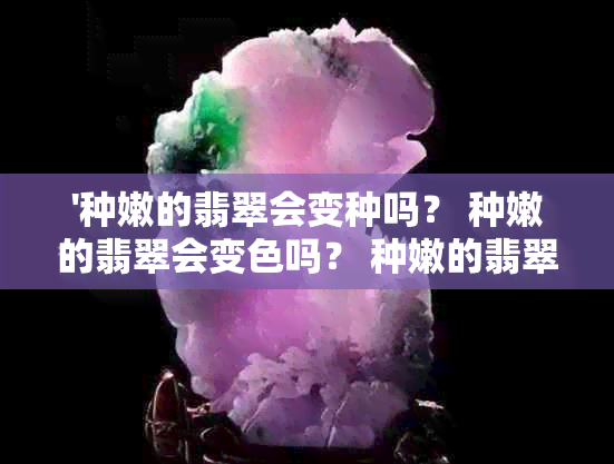 '种嫩的翡翠会变种吗？ 种嫩的翡翠会变色吗？ 种嫩的翡翠能养好吗？'