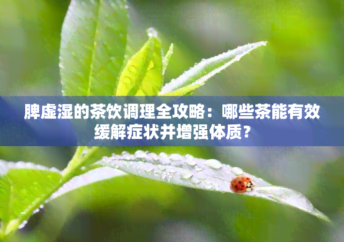 脾虚湿的茶饮调理全攻略：哪些茶能有效缓解症状并增强体质？