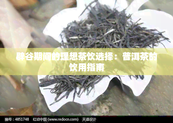 辟谷期间的理想茶饮选择：普洱茶的饮用指南