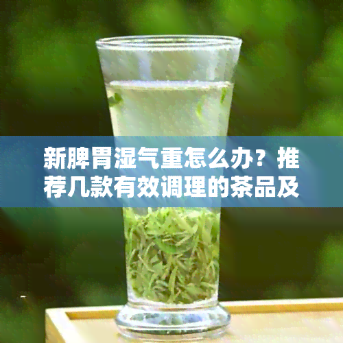 新脾胃湿气重怎么办？推荐几款有效调理的茶品及其功效