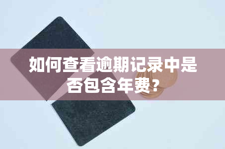 如何查看逾期记录中是否包含年费？