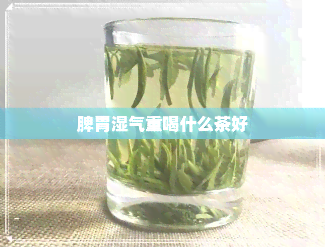 脾胃湿气重喝什么茶好