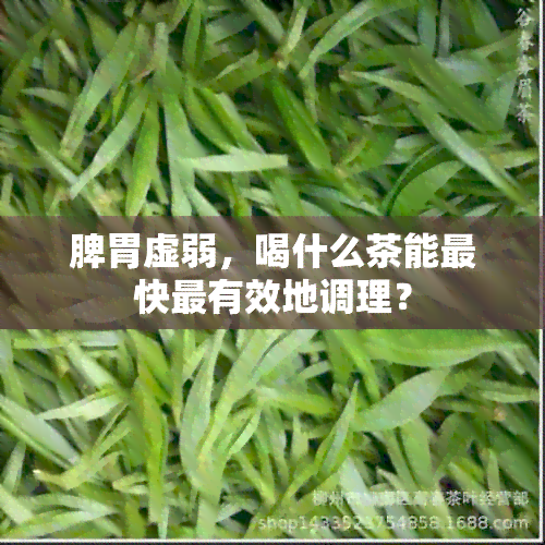 脾胃虚弱，喝什么茶能最快最有效地调理？