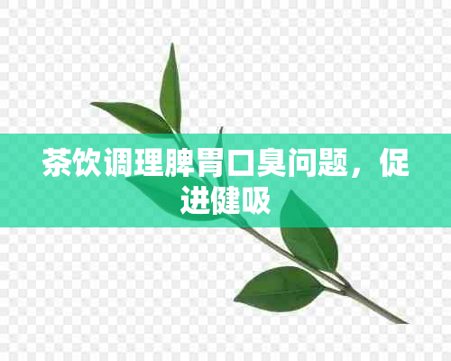 茶饮调理脾胃口臭问题，促进健吸