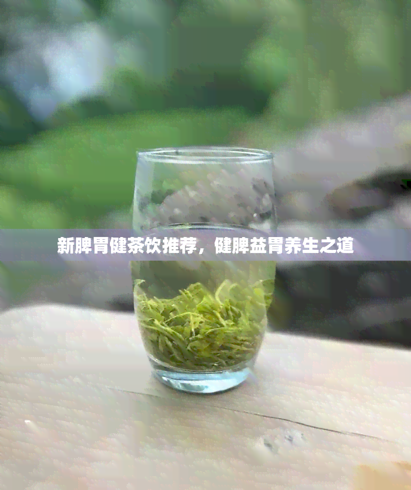 新脾胃健茶饮推荐，健脾益胃养生之道