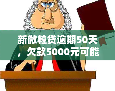 新微粒贷逾期50天，欠款5000元可能面临的后果及解决方法全面解析