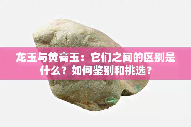 龙玉与黄膏玉：它们之间的区别是什么？如何鉴别和挑选？