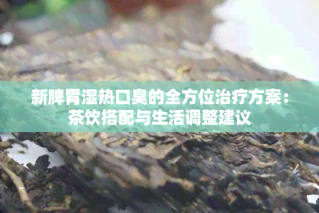 新脾胃湿热口臭的全方位治疗方案：茶饮搭配与生活调整建议