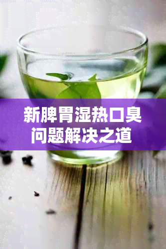 新脾胃湿热口臭问题解决之道 - 食物调节方案与有效建议