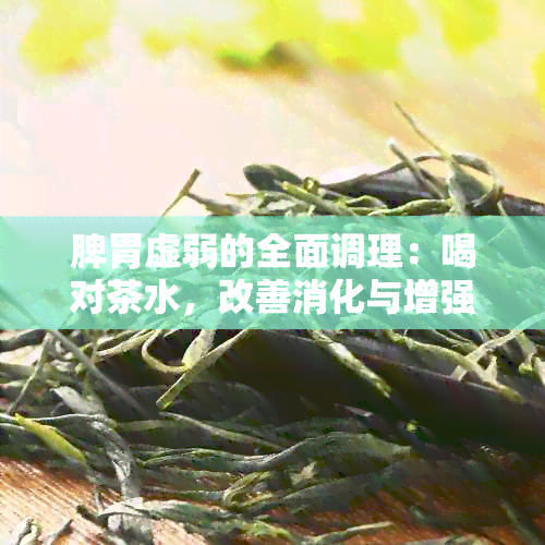 脾胃虚弱的全面调理：喝对茶水，改善消化与增强体质