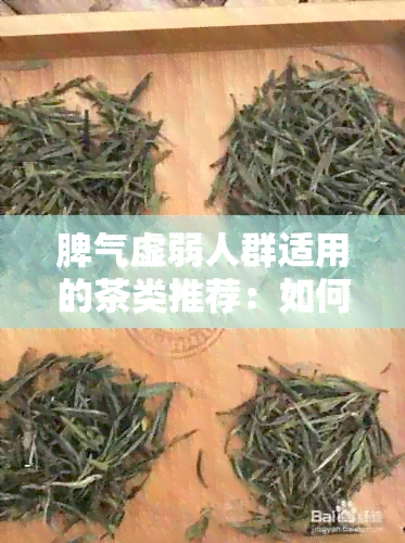 脾气虚弱人群适用的茶类推荐：如何选择最适合的茶叶来改善身体状况