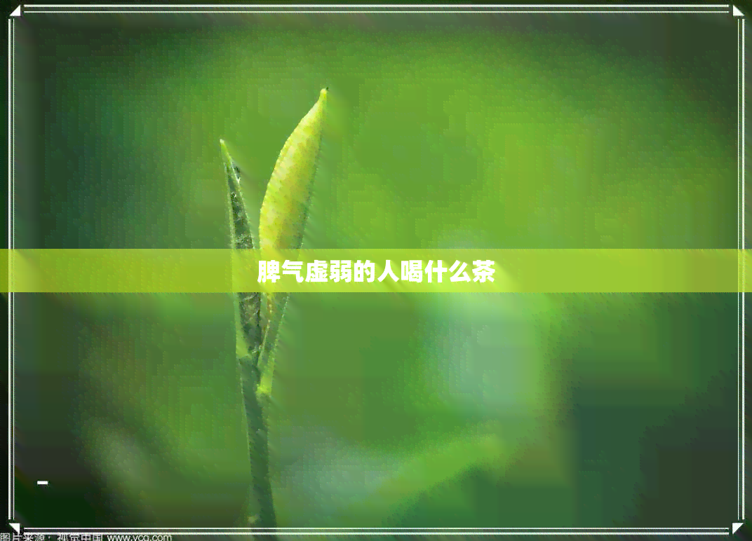 脾气虚弱的人喝什么茶