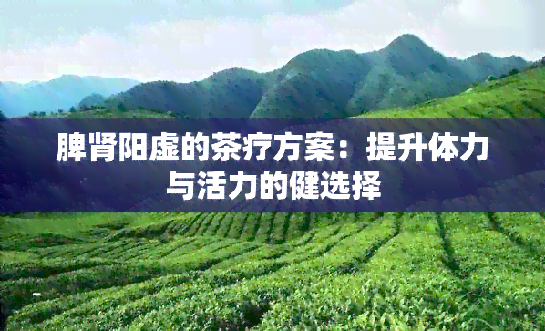 脾肾阳虚的茶疗方案：提升体力与活力的健选择