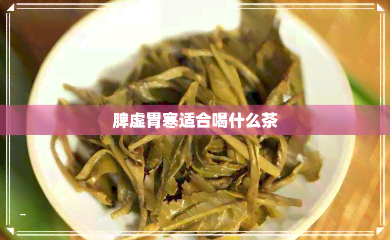 脾虚胃寒适合喝什么茶