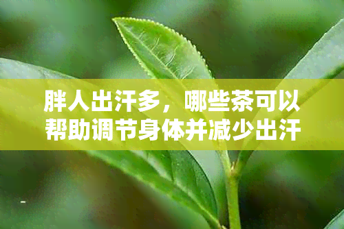 胖人出汗多，哪些茶可以帮助调节身体并减少出汗？