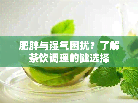 肥胖与湿气困扰？了解茶饮调理的健选择