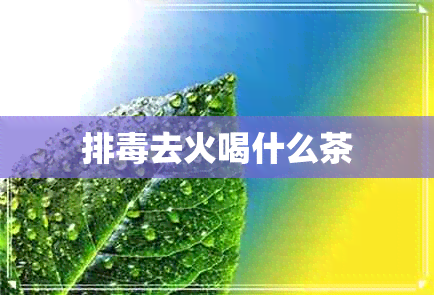 排去火喝什么茶