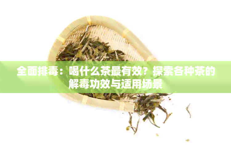 全面排：喝什么茶最有效？探索各种茶的解功效与适用场景