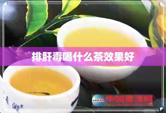 排肝喝什么茶效果好