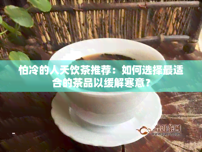 怕冷的人天饮茶推荐：如何选择最适合的茶品以缓解寒意？