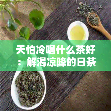 天怕冷喝什么茶好：解渴凉降的日茶水推荐