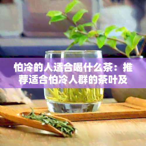 怕冷的人适合喝什么茶：推荐适合怕冷人群的茶叶及茶水，提高身体抵抗力。