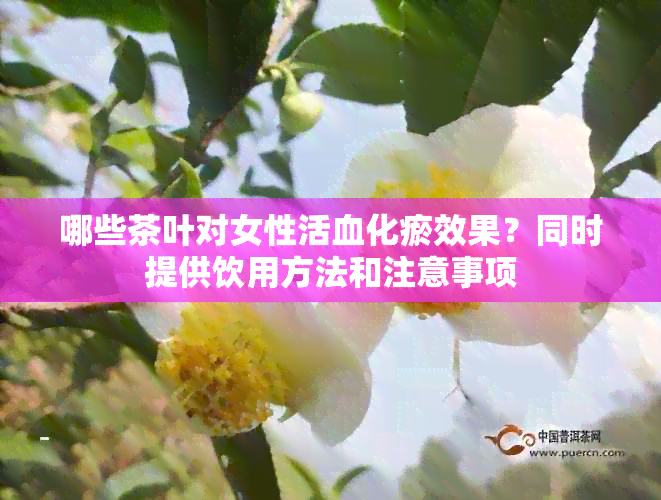 哪些茶叶对女性活血化瘀效果？同时提供饮用方法和注意事项