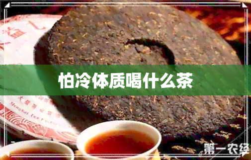 怕冷体质喝什么茶