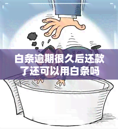 白条逾期很久后还款了还可以用白条吗