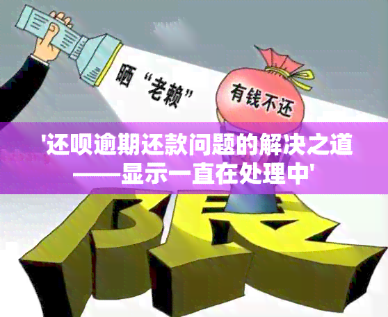  '还款逾期还款问题的解决之道——显示一直在处理中'