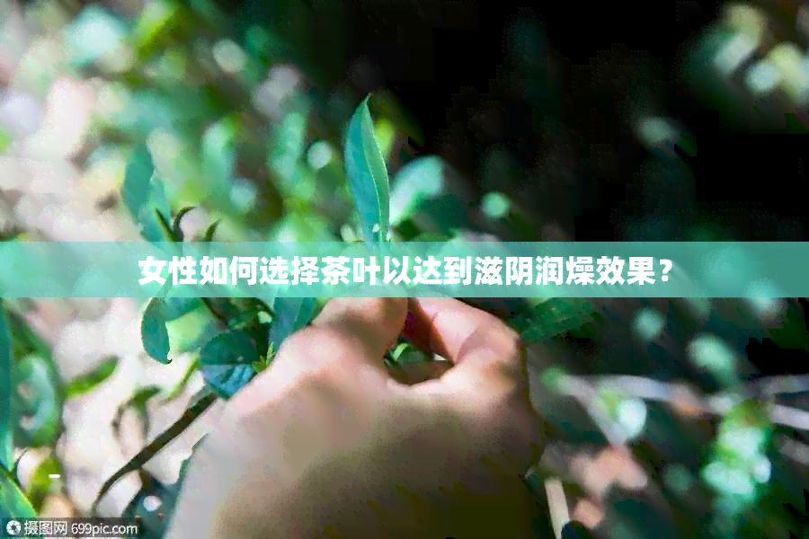 女性如何选择茶叶以达到滋阴润燥效果？