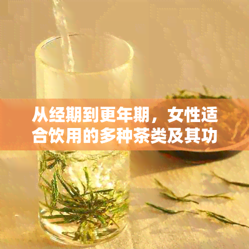 从经期到更年期，女性适合饮用的多种茶类及其功效解析