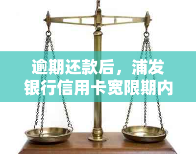 逾期还款后，浦发银行信用卡宽限期内是否可以只还更低还款额？