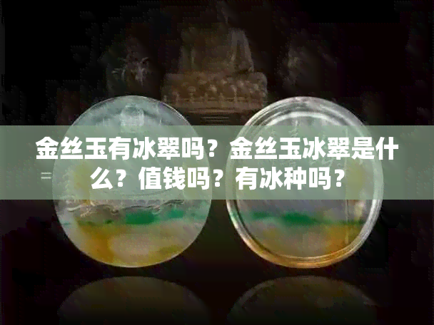 金丝玉有冰翠吗？金丝玉冰翠是什么？值钱吗？有冰种吗？