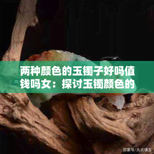 两种颜色的玉镯子好吗值钱吗女：探讨玉镯颜色的价值与美感