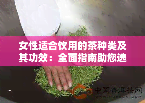 女性适合饮用的茶种类及其功效：全面指南助您选择最适合您的茶