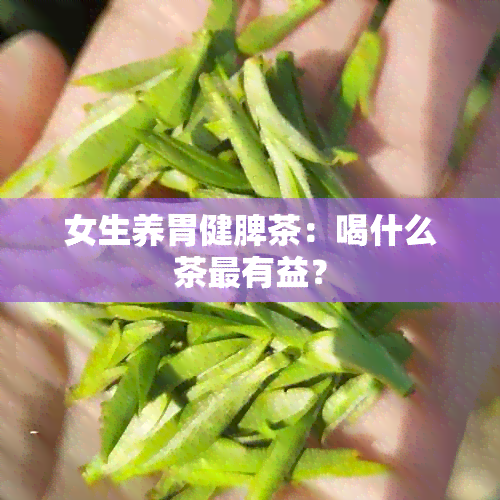 女生养胃健脾茶：喝什么茶最有益？